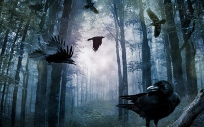 Apocalipsis de Stephen King, un mundo oscuro para explorar